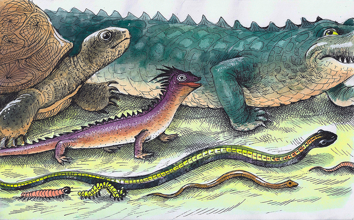 Надоело летать.