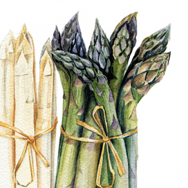 Asparagus
