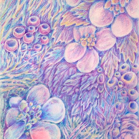 раннее утро