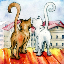 Коты на крыше 