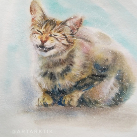 Первый снежок