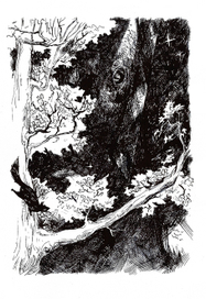 Заповедник гоблинов