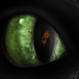 Ночная фурия