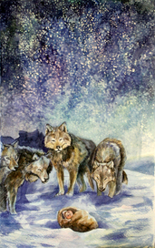 Лапландская ночь