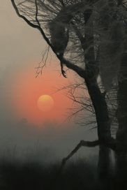 иллюстрация 17