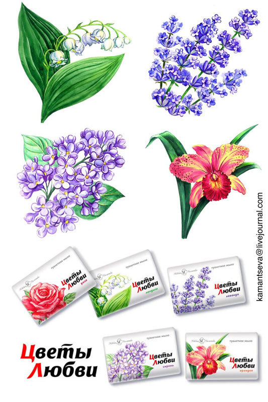 иллюстрация для упаковок мыла