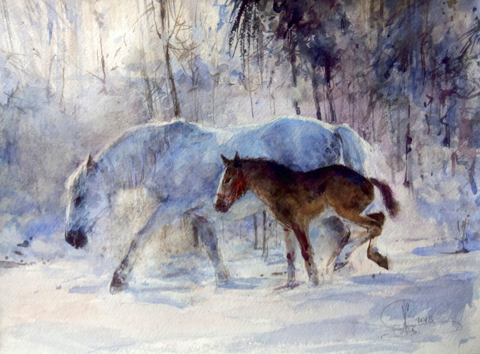 Лошадки зимой. Июлька и маленькая Морозка.