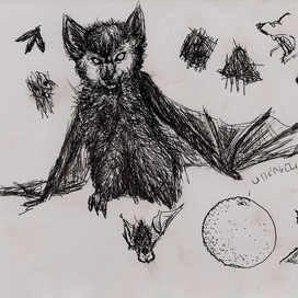 Летучая мышка