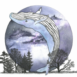 Волшебный кит