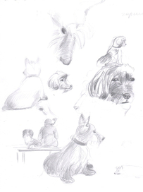 Дама с собачкой