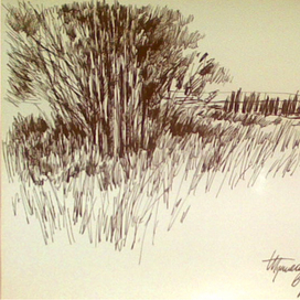 Кустики нужды при дальней дороге...