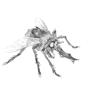 Комар - воитель.