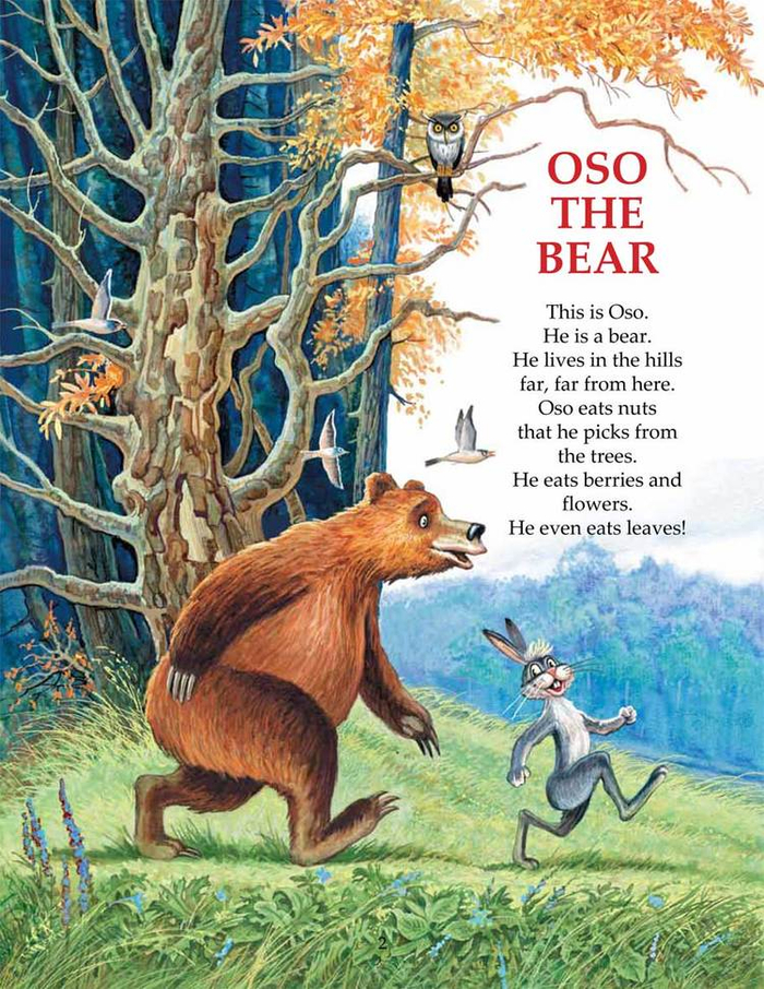 OSO the Bear_02