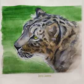 Снежный барс