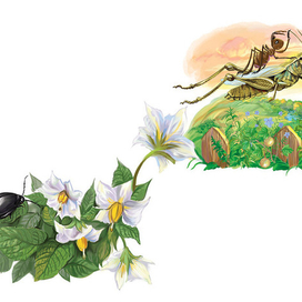 Иллюстрация