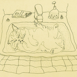 кот в ванной