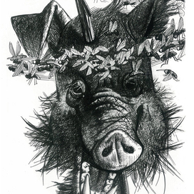 повелитель мух