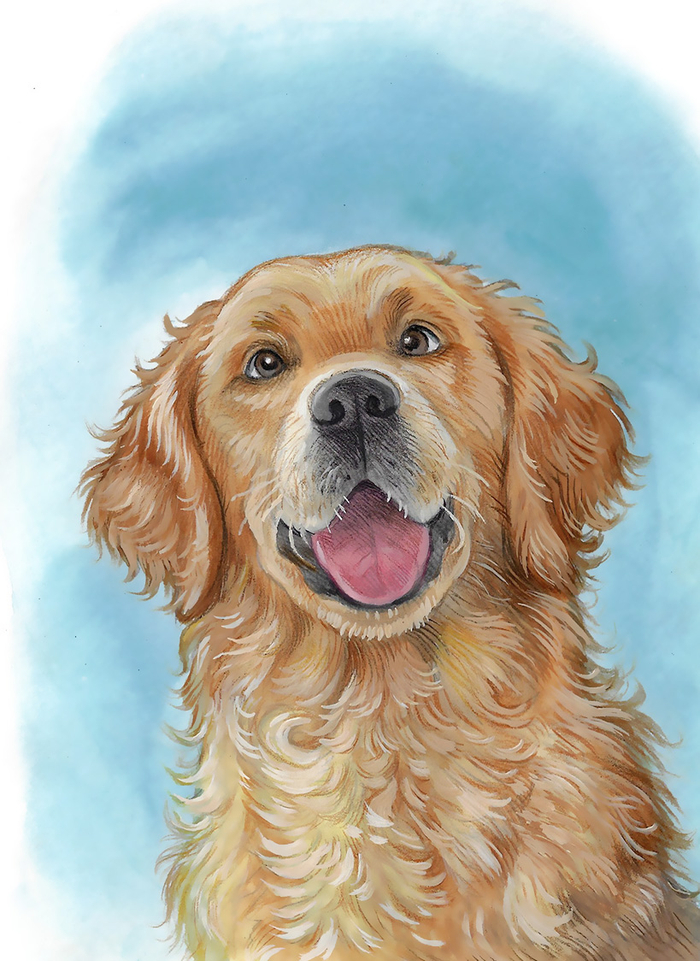 Иллюстрация для книги о собаках для канадского автора 