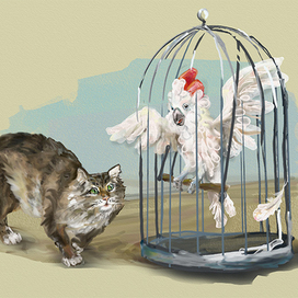 кот и попугай