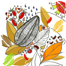 какао,шиповник и листья