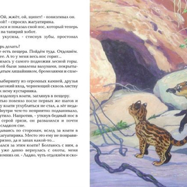 Коати и Жагуатирика 11