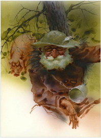 пасёт свиней