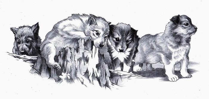 Молниеносный. 9-0