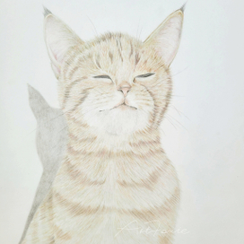 Рыжий котенок 