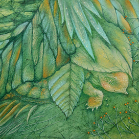 Апельсиновая Черепашка