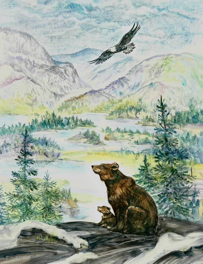 "Бродяги Севера"