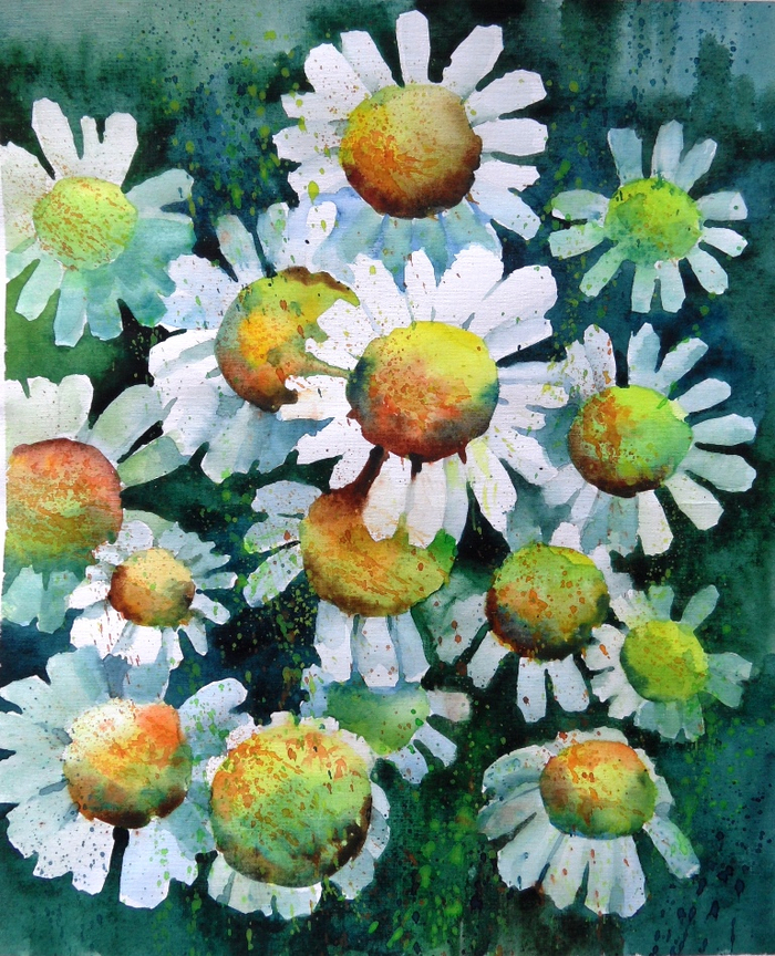 Привет, ромашки!...