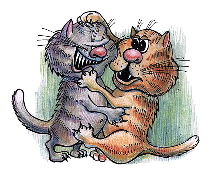 "Жили были два кота..."