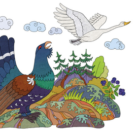 Лебедь и глухарь (эвенкийская сказка)