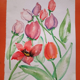 Tulips