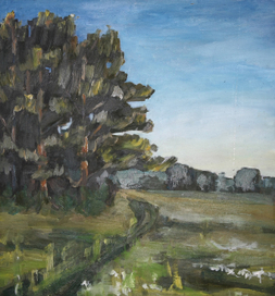 Окраєна лісу