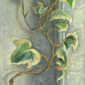 Ветка вьюнка