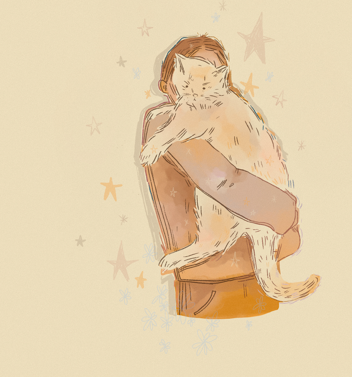 толстый кот