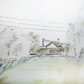 деревенское утро