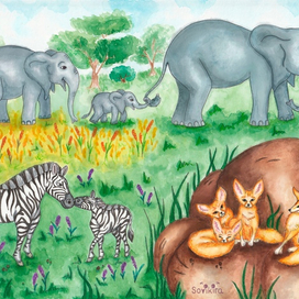 Семьи животных