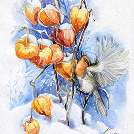 Малиновка и физалис