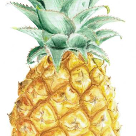 ананас 