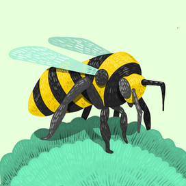 Bee