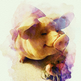 Маленькое свинство.