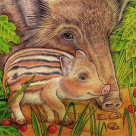 Поросёнок дикий,но симпатичный