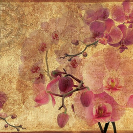 Дизайн фотообоев