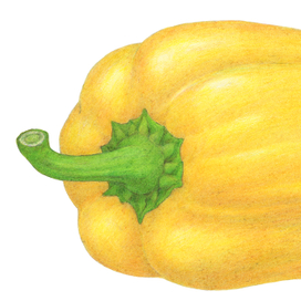 Серия "Овощи", часть 2.