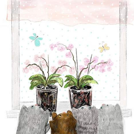 Чудеса за окошком