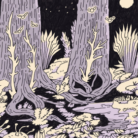 Полуночная опушка