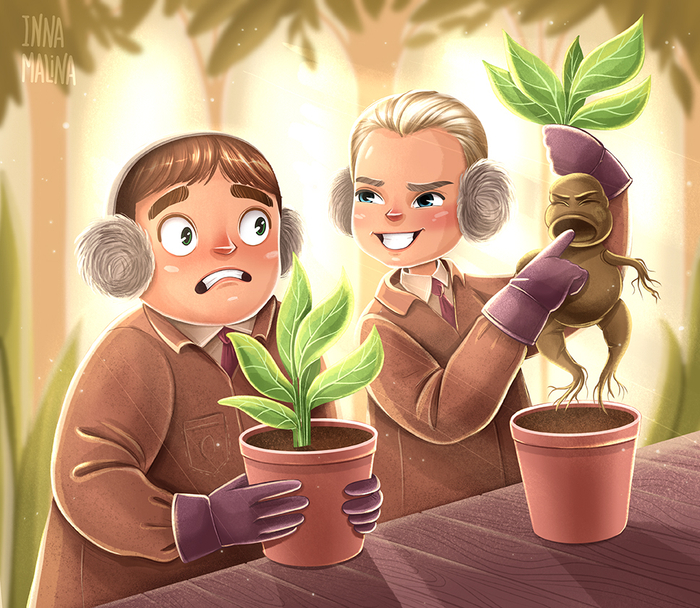 Малфой и Мандрагора 