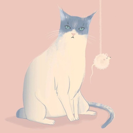 Недовольный котик 